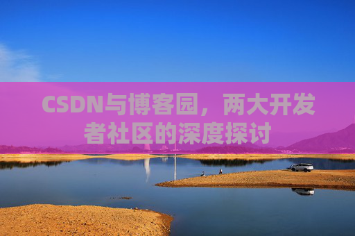 CSDN与博客园，两大开发者社区的深度探讨